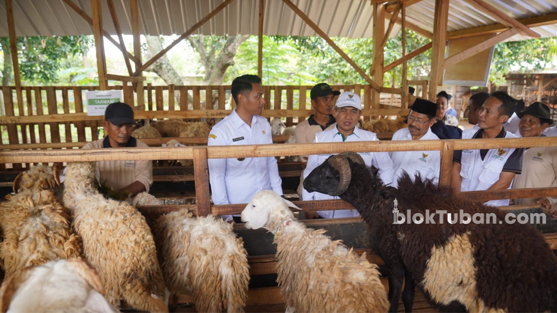 Baznas Luncurkan Balai Ternak Di Kabupaten Tuban Begini Strateginya